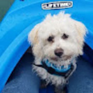 Meet your Posher, Maggie